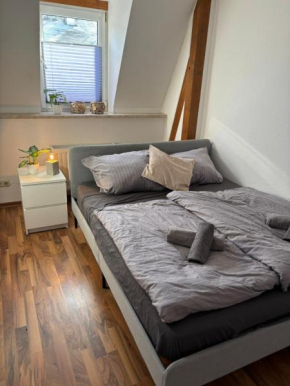 komfortable Ferienwohnung am Stadtwald von Plauen